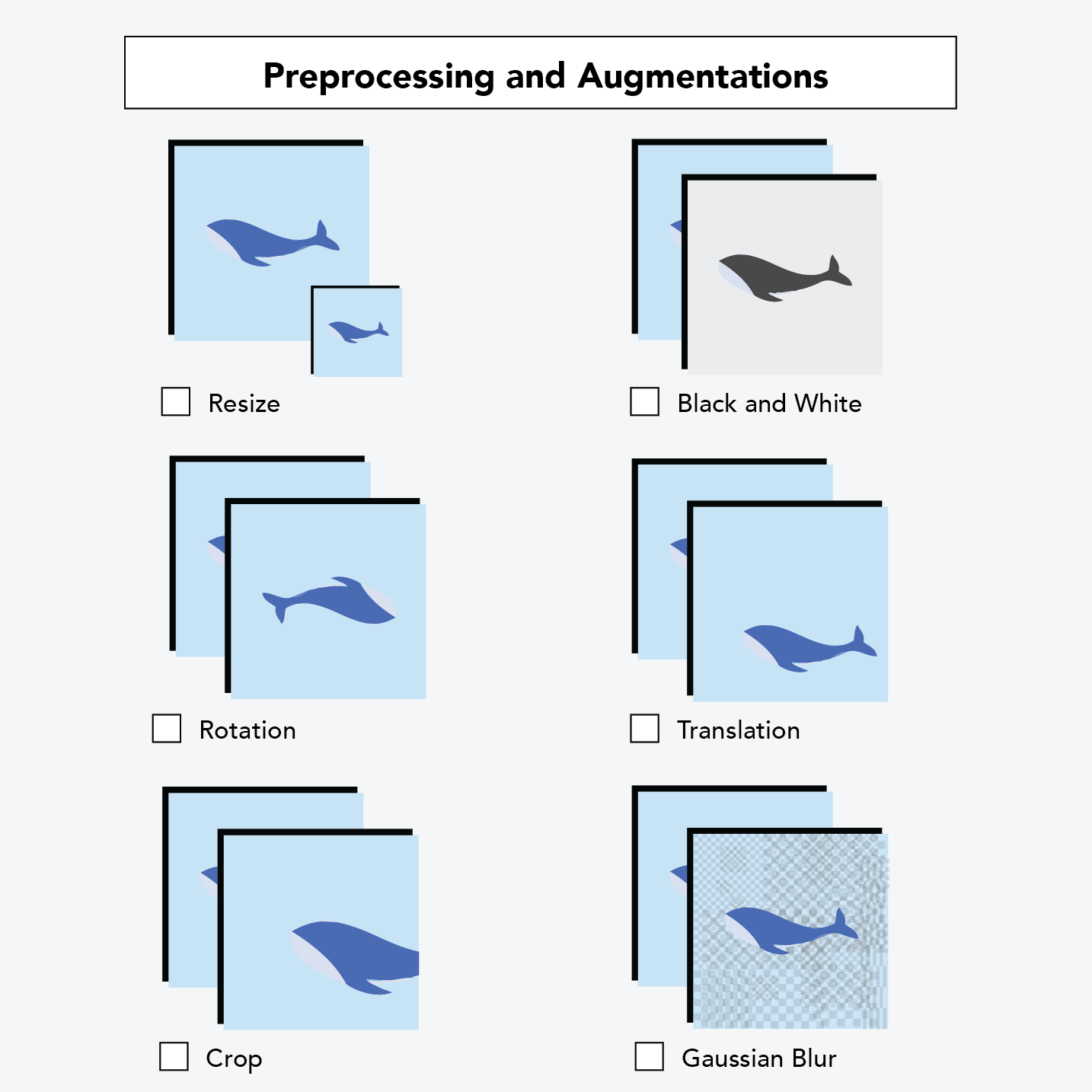 Preprocessing and Augmentations (Resize, Black and White, Rotation, Translation, Crop, Gaussian Blur)