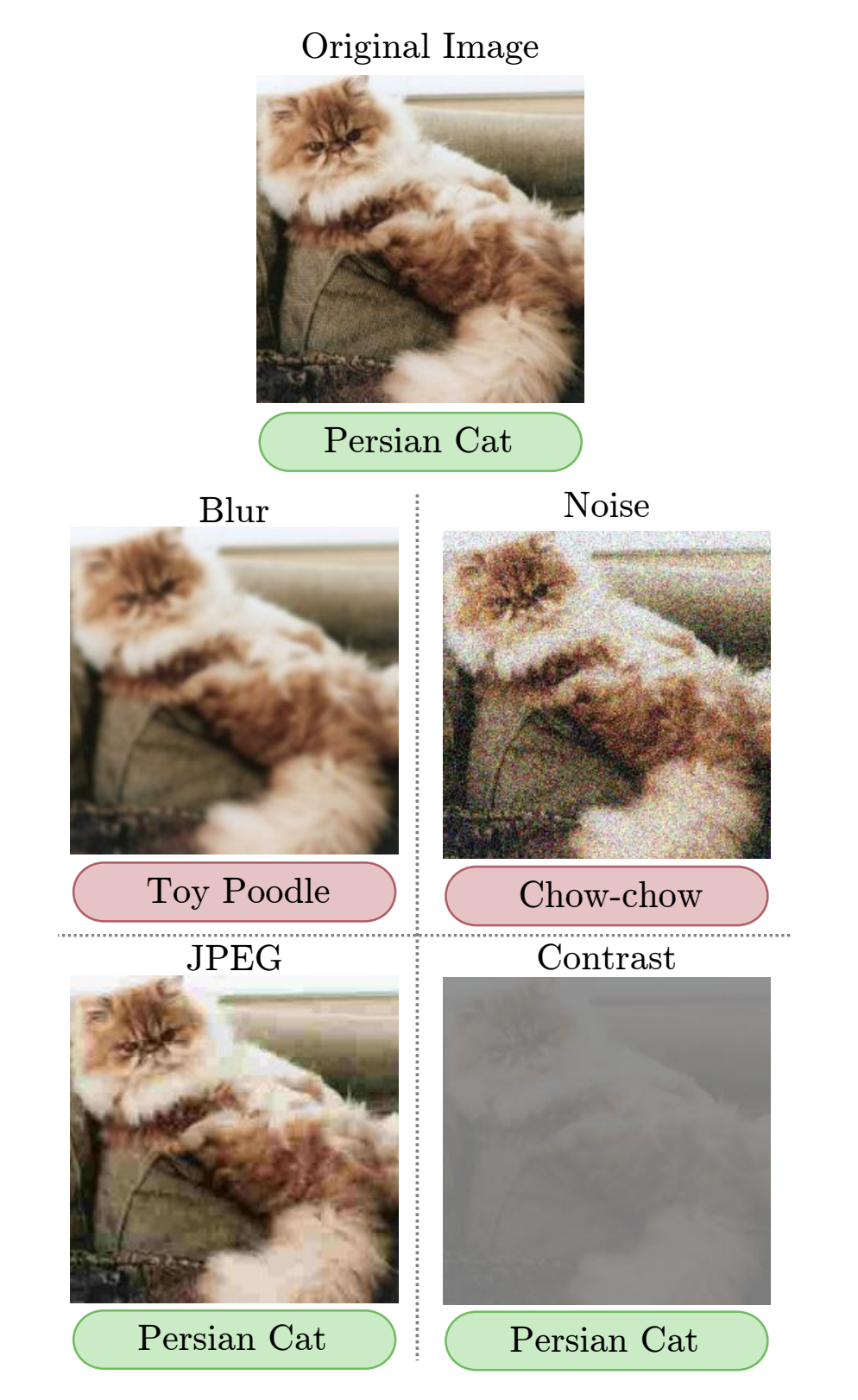 Visualization of a persian cat with blur, noise, JPEG artifacting, and decreased contrast applied.