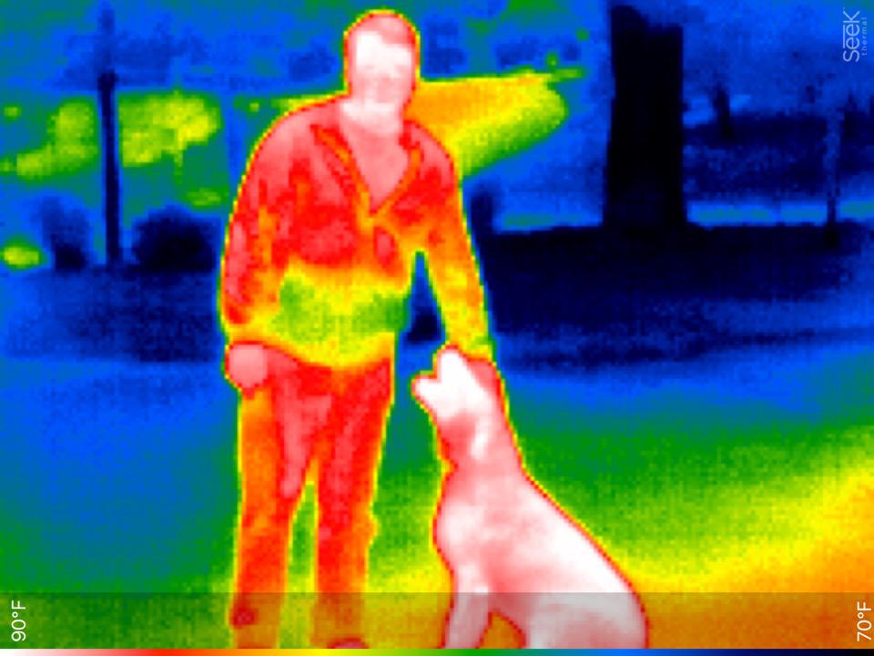 Thermal Infrared Dataset for Object Detection