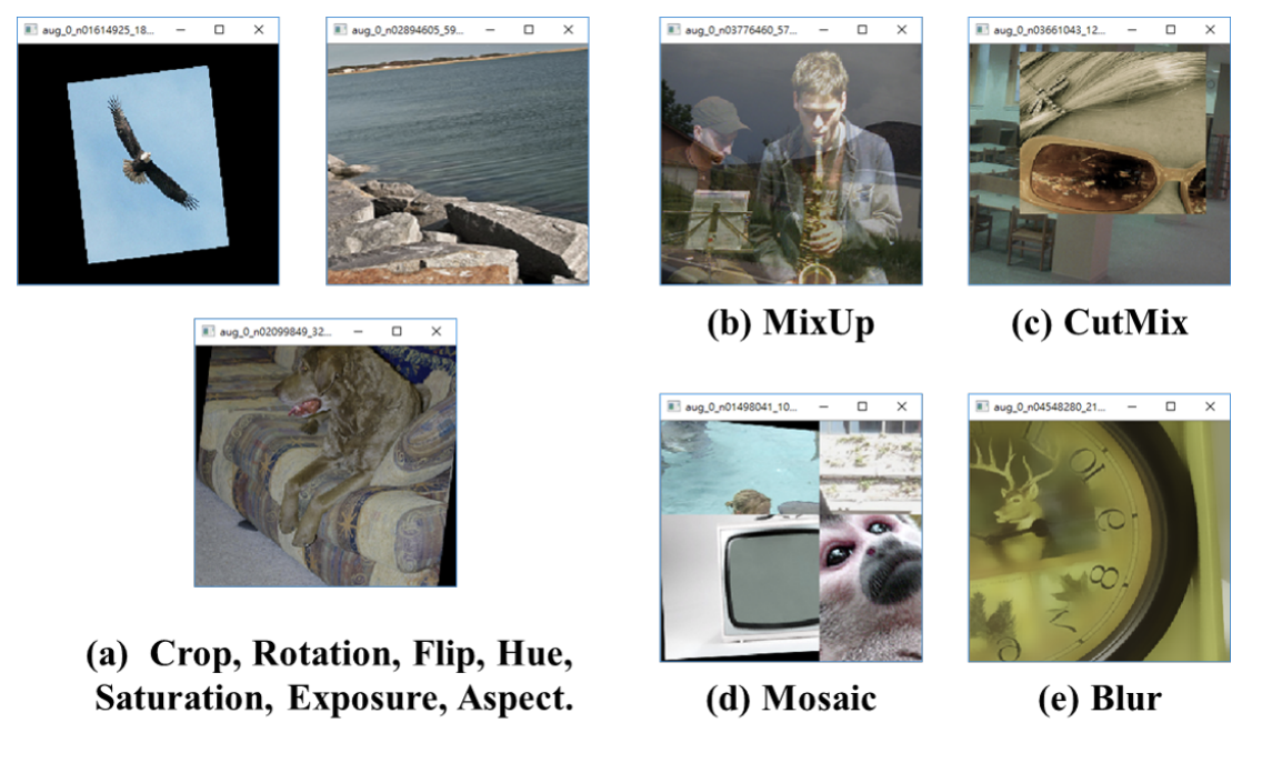 Crop, Rotation, Flip, Hue, Saturation, Exposure, Aspect Ratio, MixUp, CutMix, Mosaic, Blur