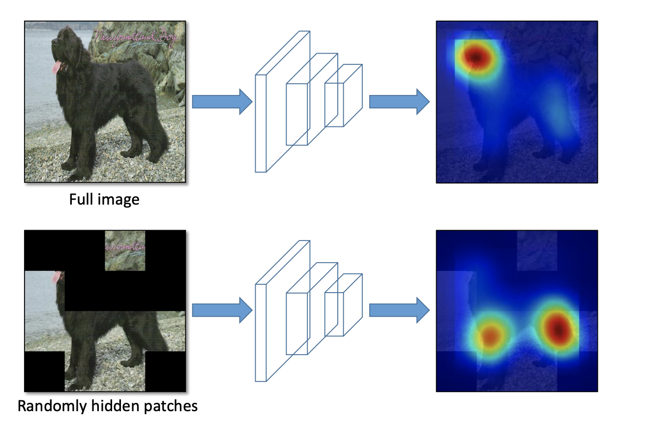 Full image, randomly hidden patches, with arrows pointing at a heat map of convolutional neural network attention.