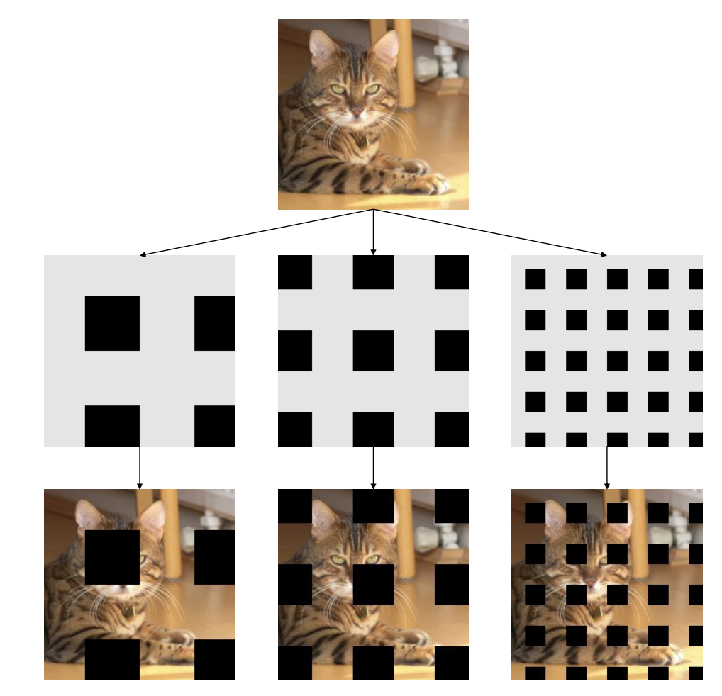 Cat with grids of black squares overlaid in various spacing and sizes.