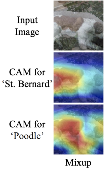 Mixup Visualization: Input image, CAM for St Bernard, CAM for Poodle