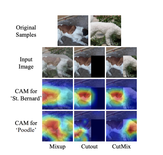 Image comparing neural network attention on images of a St Bernard and Poodle dog augmented using Mixup, Cutout, and CutMix.