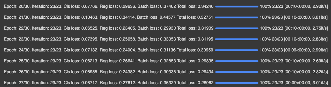 Terminal Screenshot: training epochs and loss values (Epoch 27/30, Total Loss 0.28062)