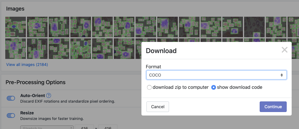 Roboflow Screenshot: Download Dataset dialog (COCO JSON format, show download code)