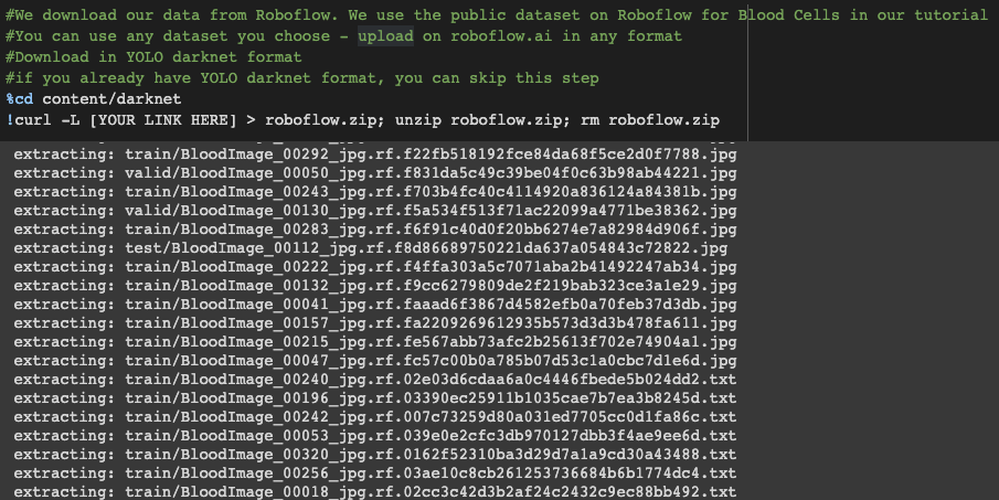 Terminal Screenshot: Downloading a dataset from Roboflow.