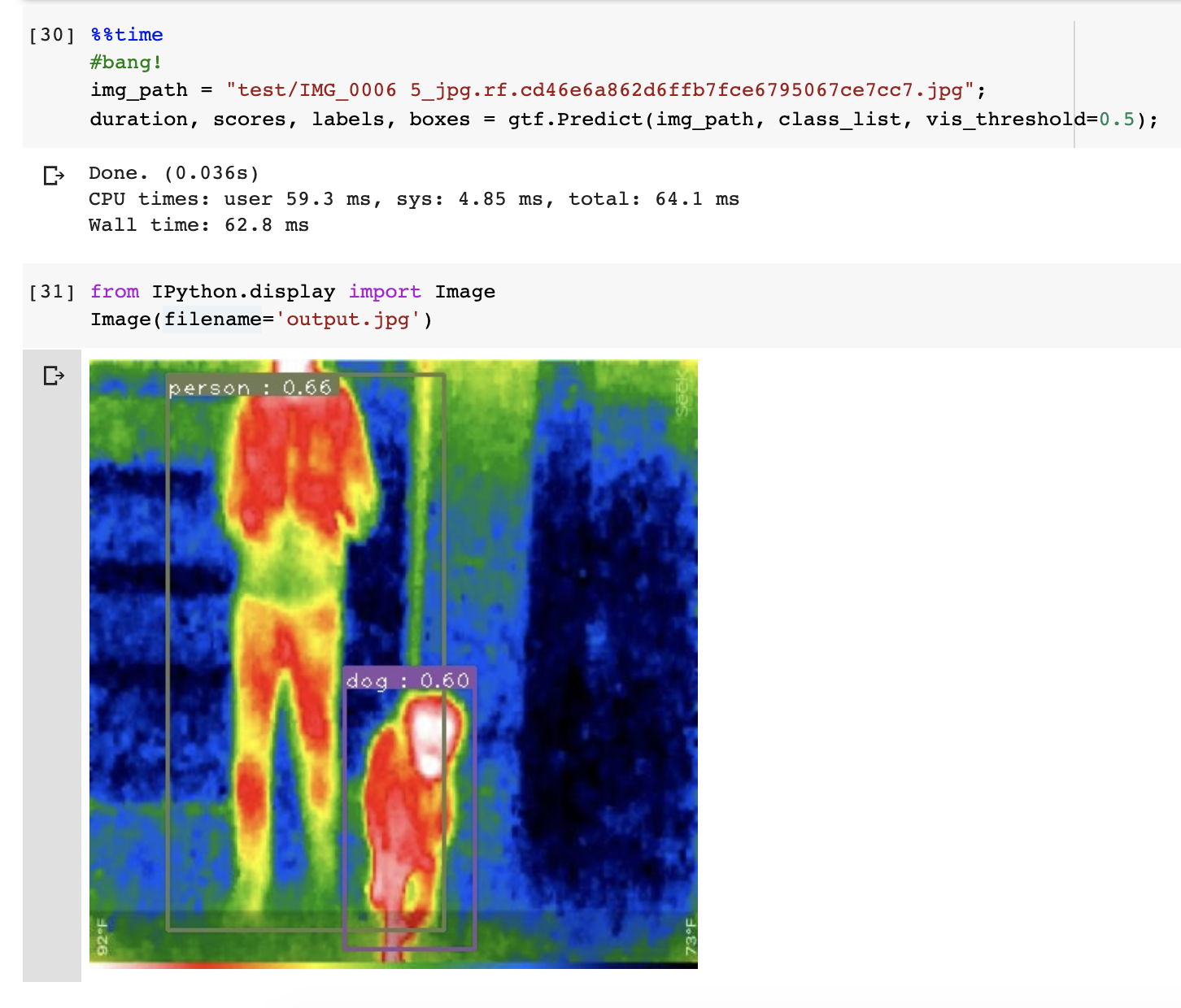 Jupyter Notebook screenshot: showing inference on a thermal image of a dog and a person.