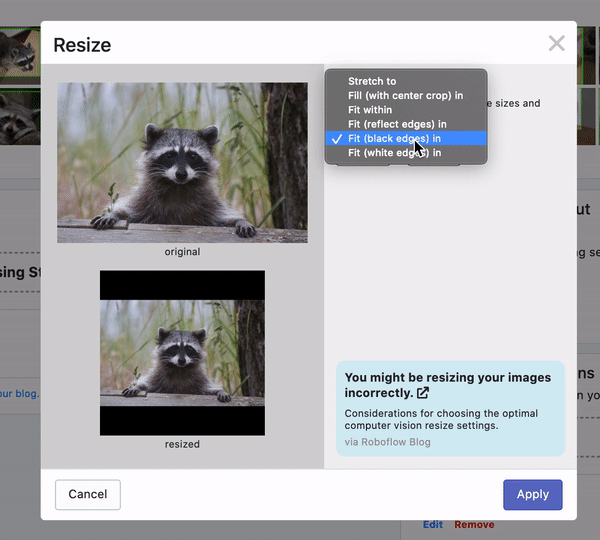 Roboflow Screenshot: selecting Resize preprocessing options (Fit with white edges in 500x500)