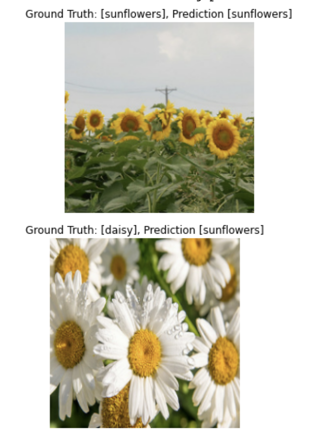 Two example images 1: Ground Truth: [sunflowers], Prediction [sunflowers], 2: Ground Truth: [daisy], Prediction [sunflowers]