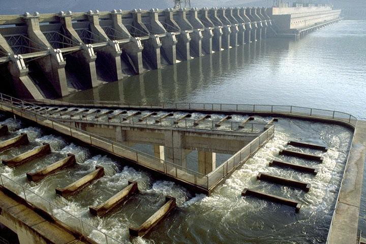 A fish ladder and hydroelectric dam.