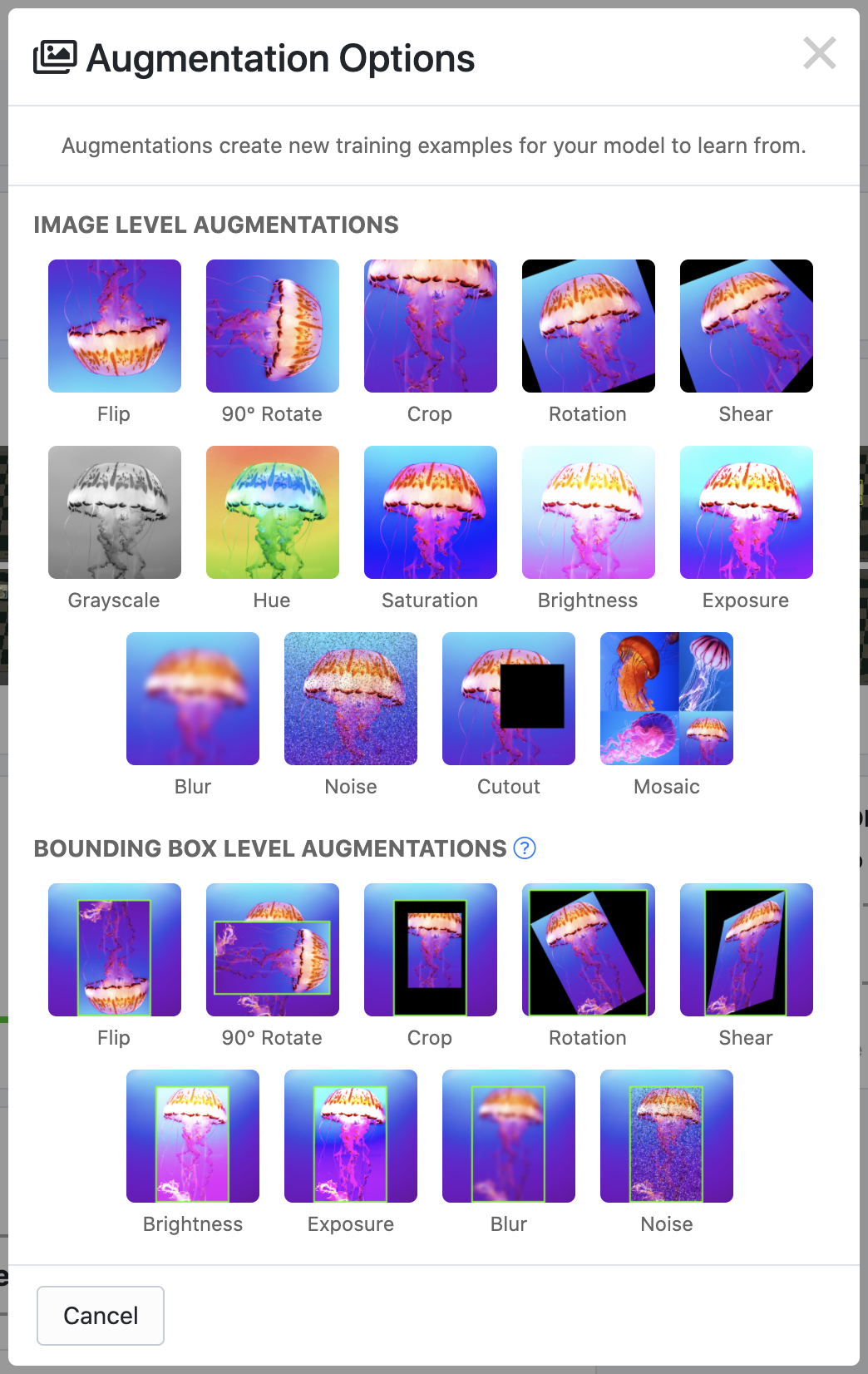 Image augmentation techniques for computer vision.