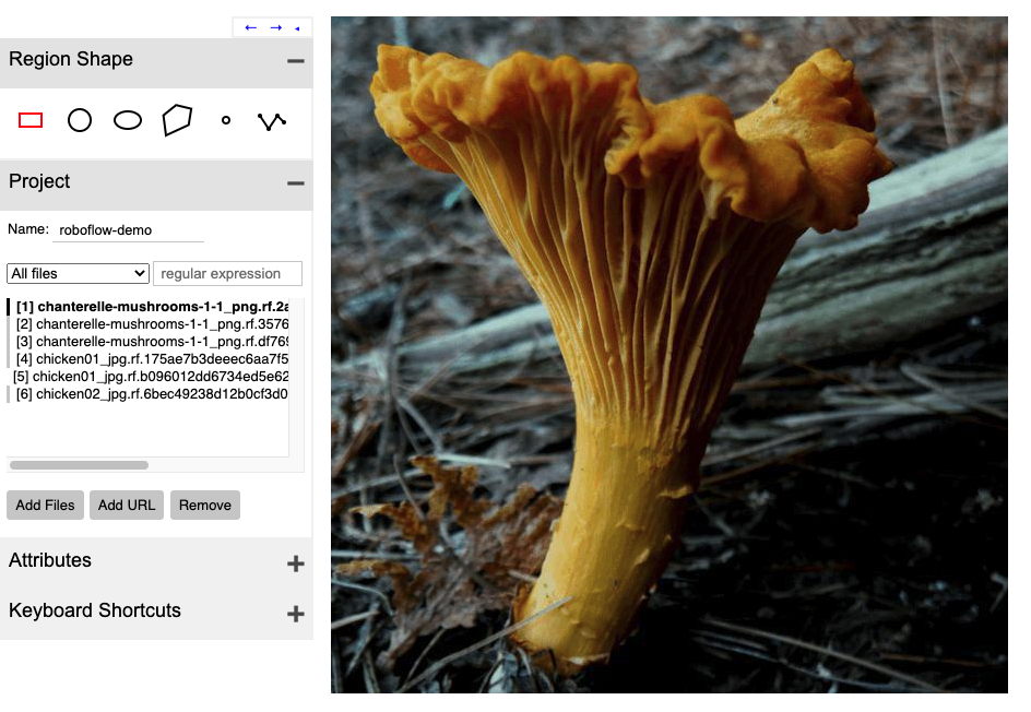 VGG Image Annotator