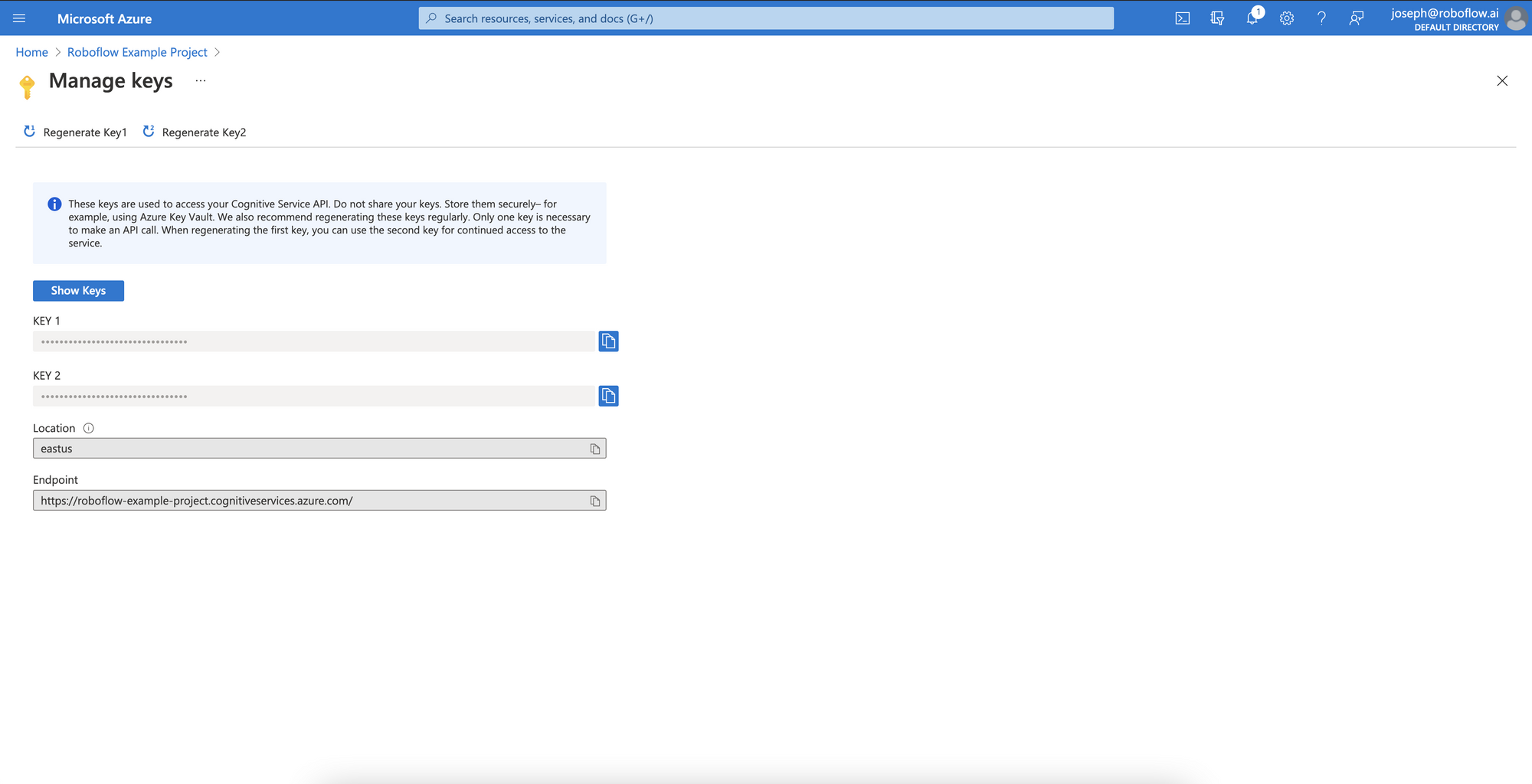 The API Keys for a Microsoft Azure project.