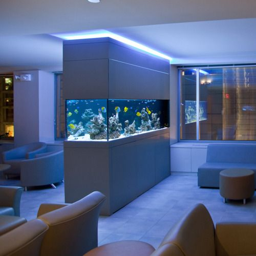 Dimly lit office space with a large salt water aquarium in between brown and grey chairs.