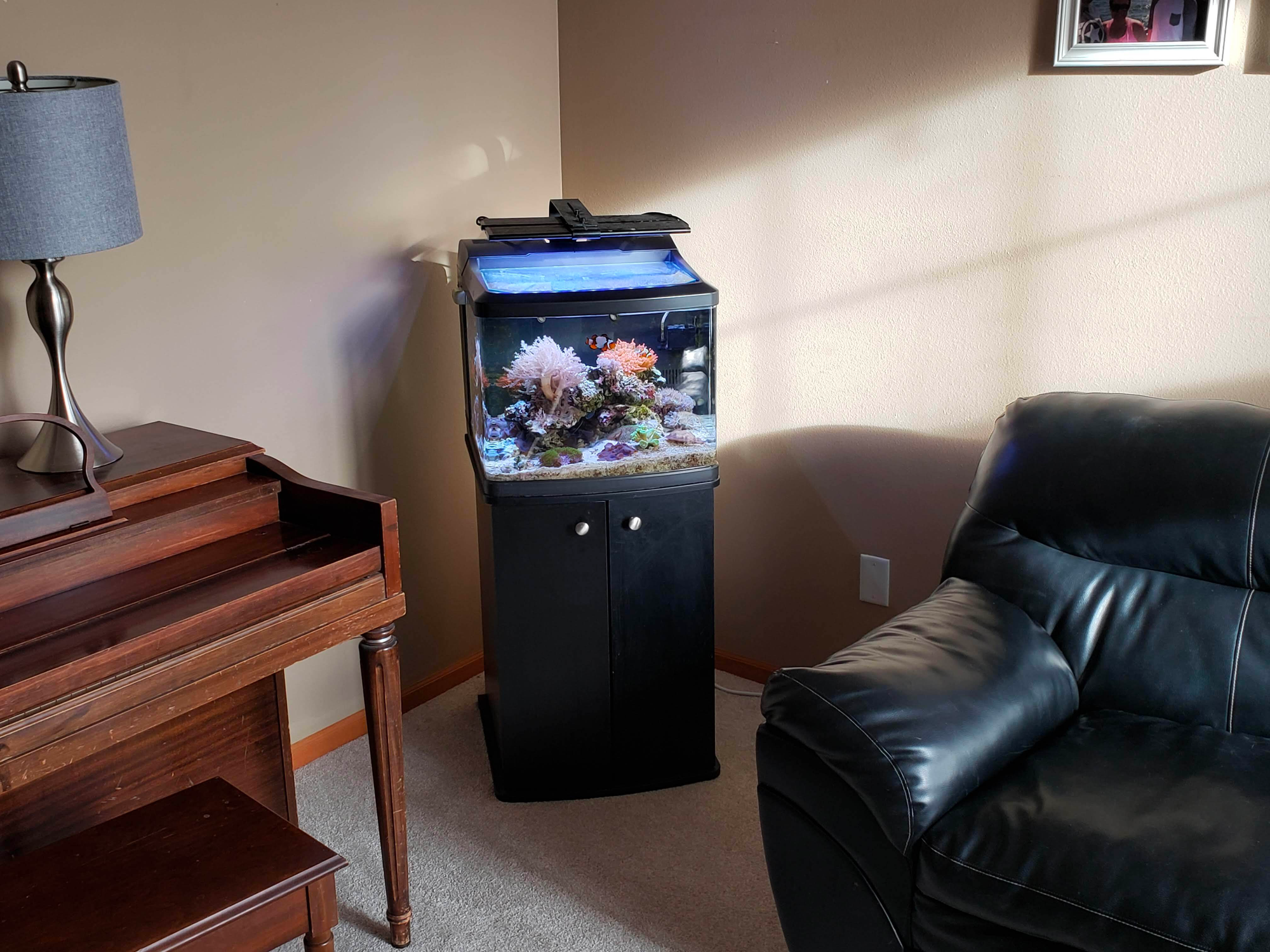 Small saltwater fish tank sitting on top of a black cabinet in a corner. A brown piano and black couch on the sides.
