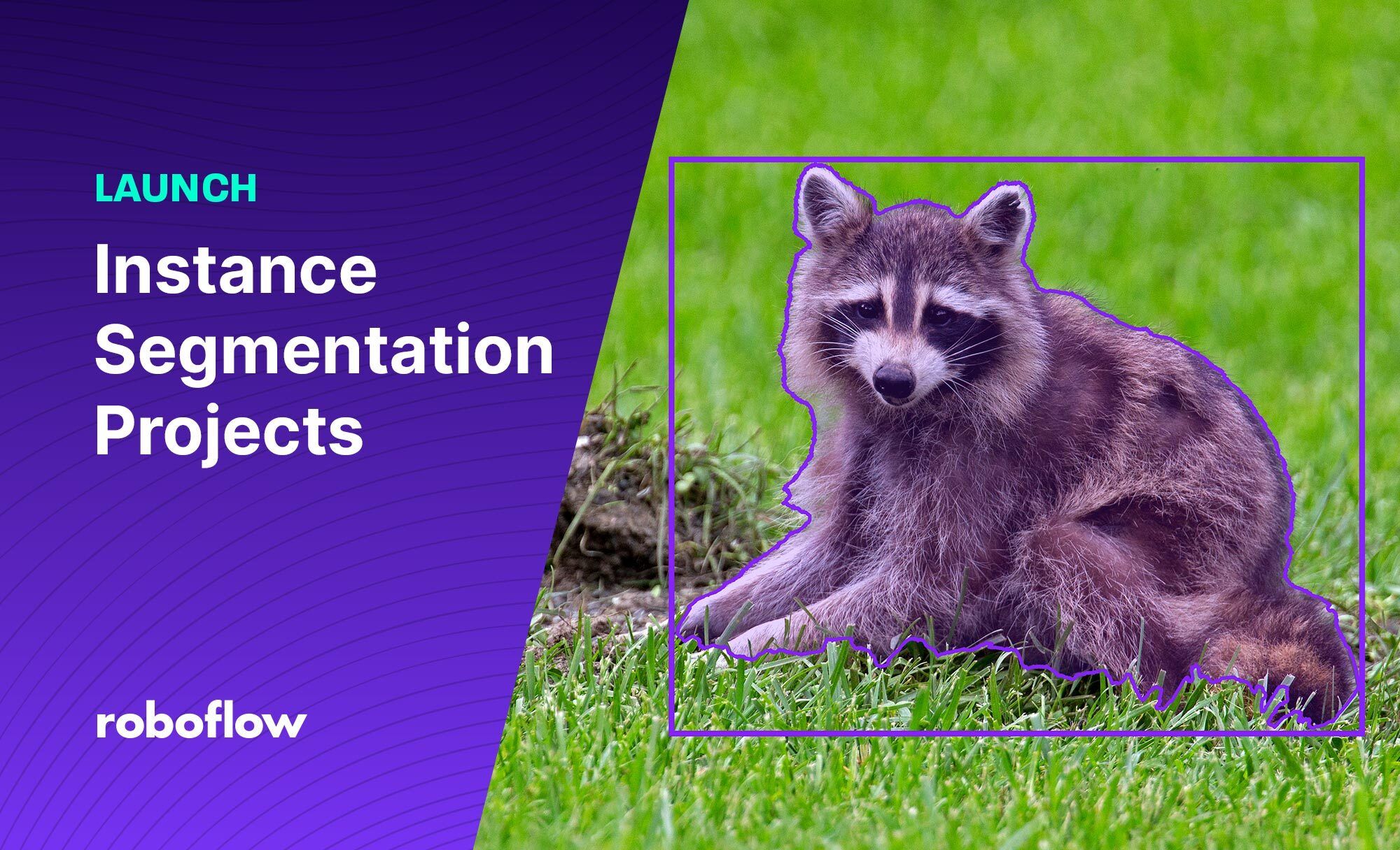 What Is Instance Segmentation A Guide 