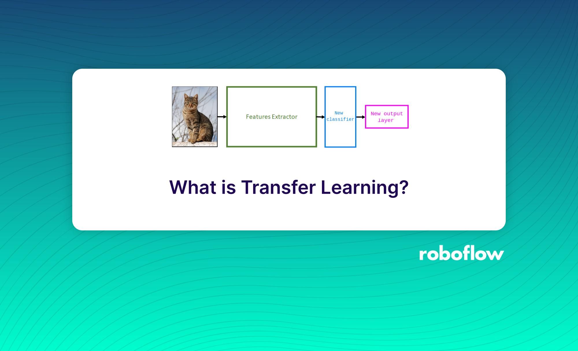 what-is-transfer-learning