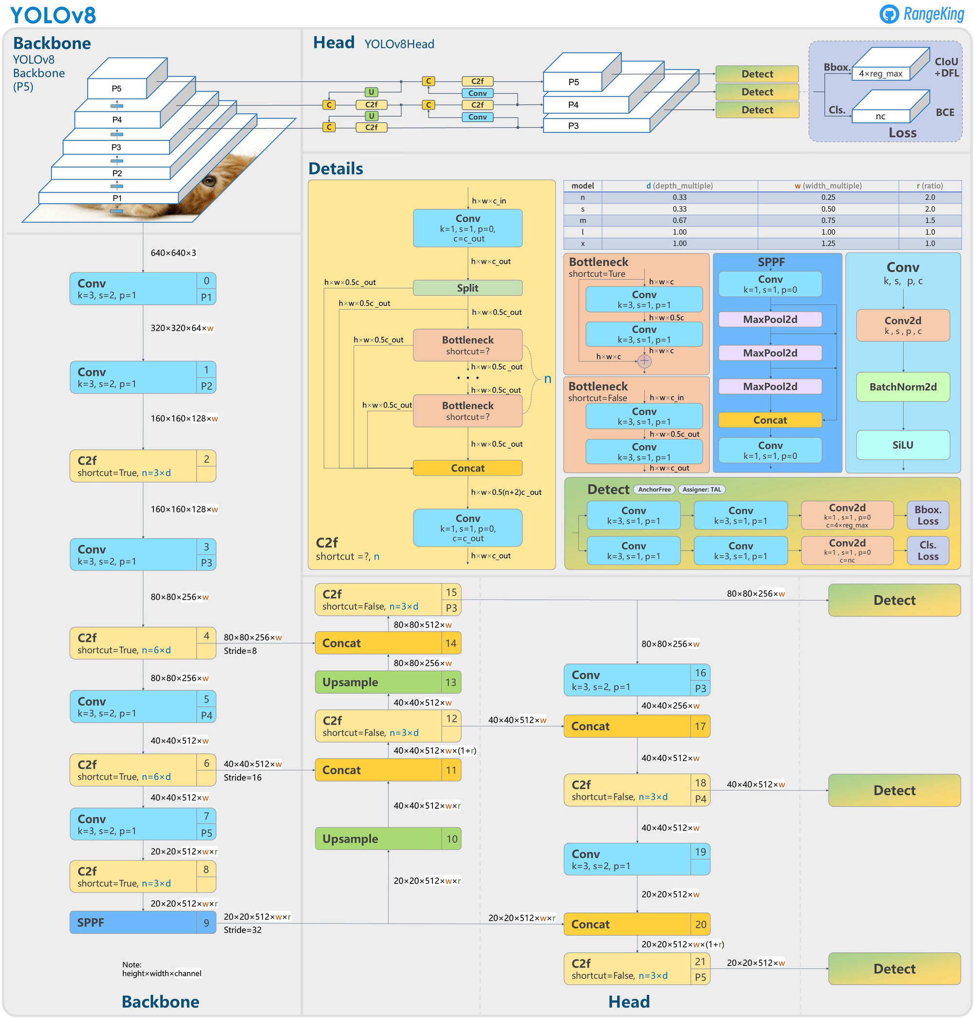 YOLOv8 model architecture