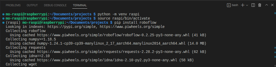 Installing the Roboflow python package in a virtual environment