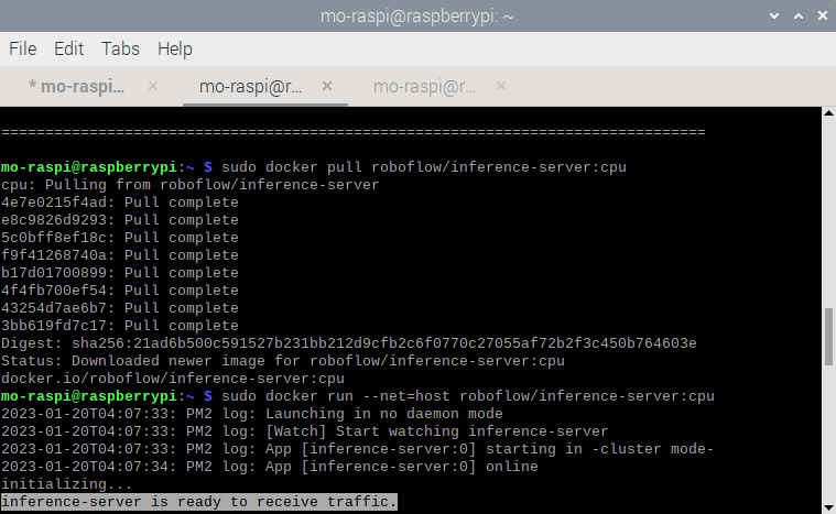 Inference Server Installation: Success
