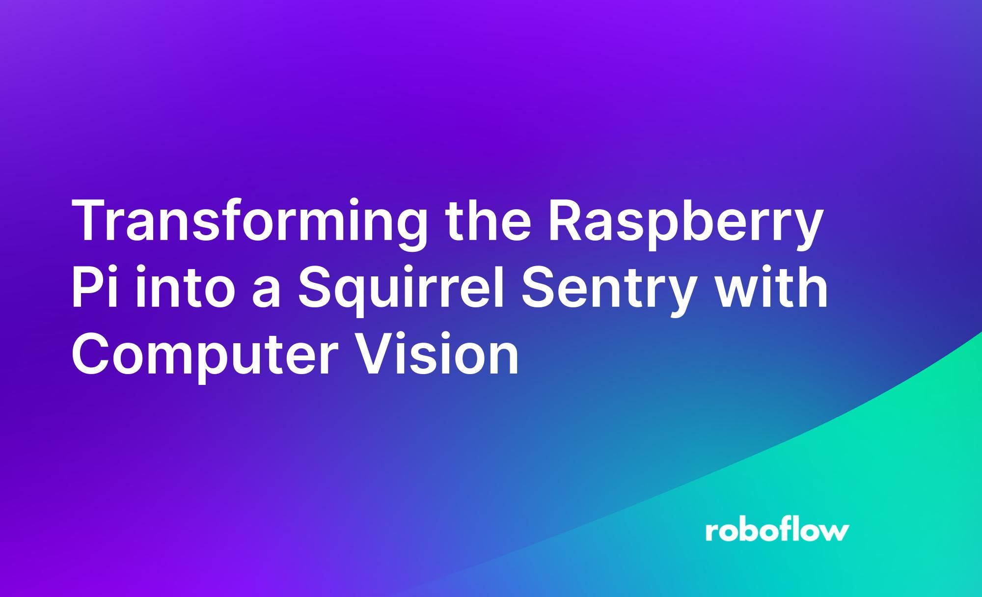 Transforming the Raspberry Pi into a Squirrel Sentry with Computer