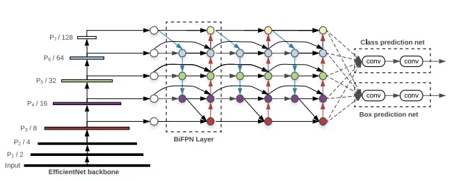 EfficientNet Backbone dialog feeding into BiFPN Layer feeding class prediction conv net and box prediction net.
