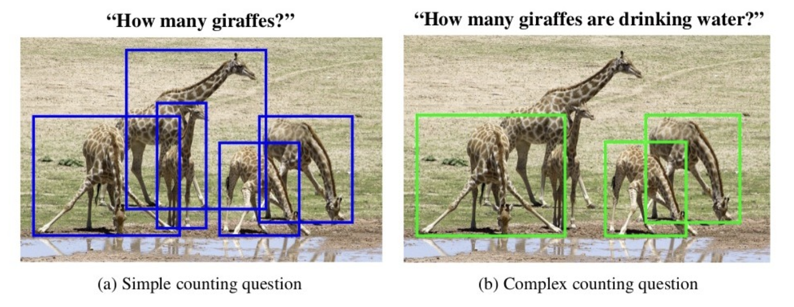 TallyQA dataset