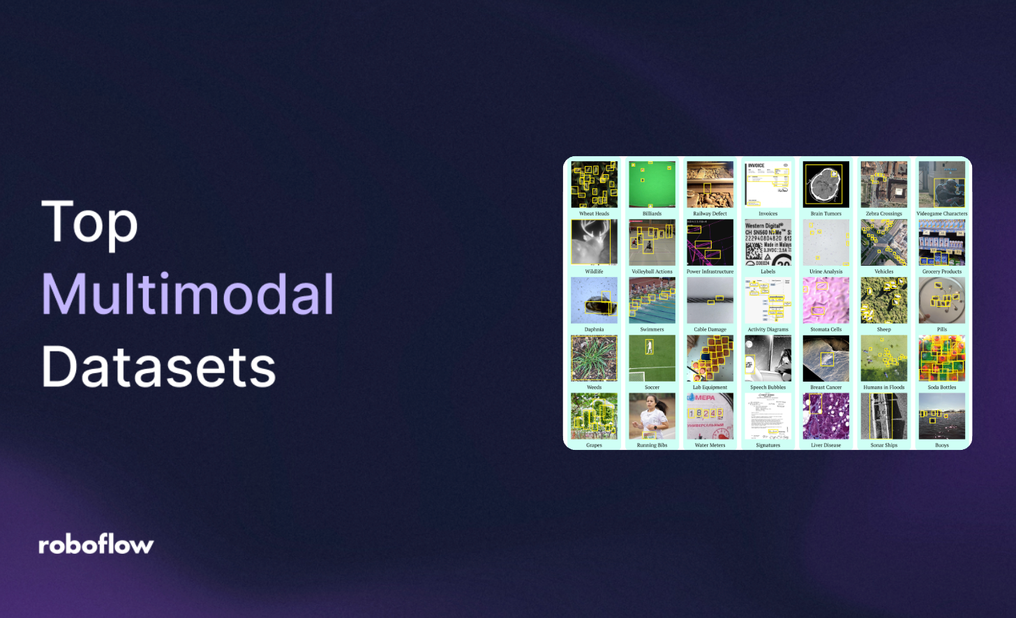 Top 10 Multimodal Datasets