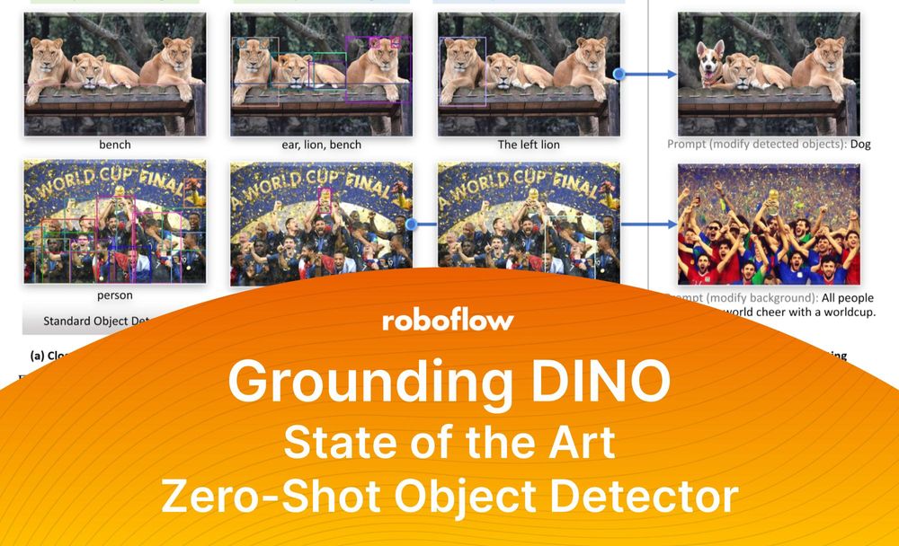 The Jumping Dino - Product Information, Latest Updates, and Reviews 2023