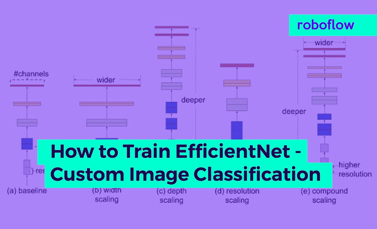 How to Train an EfficientNet Model with a Custom Dataset