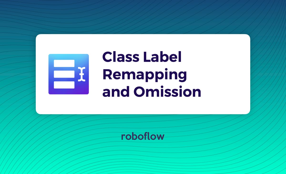 Introducing Class Label Remapping and Omission