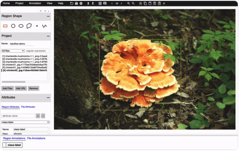 Getting Started with VGG Image Annotator for Object Detection Tutorial