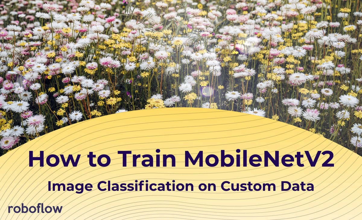 How to Train MobileNetV2 On a Custom Dataset