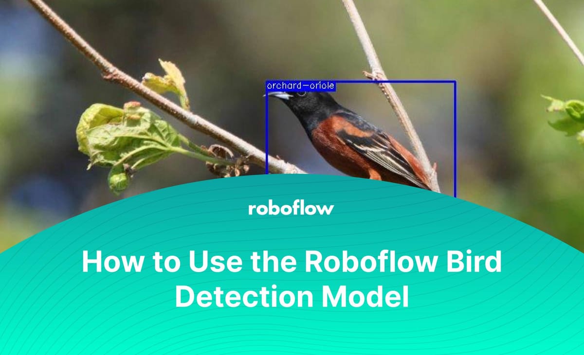 How to Use the Roboflow Bird Detection API