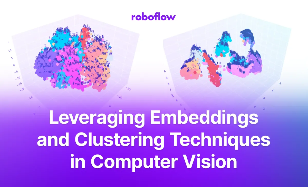 Leveraging Embeddings and Clustering Techniques in Computer Vision