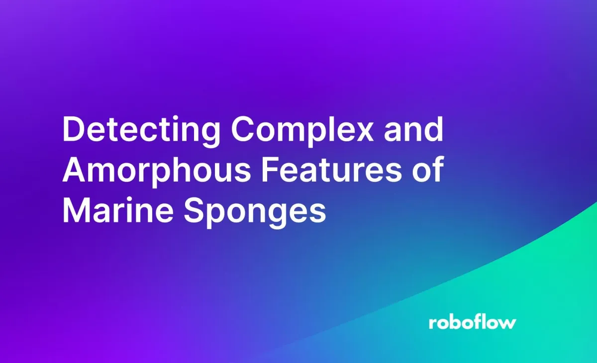 Detecting Complex and Amorphous Features of Marine Sponges