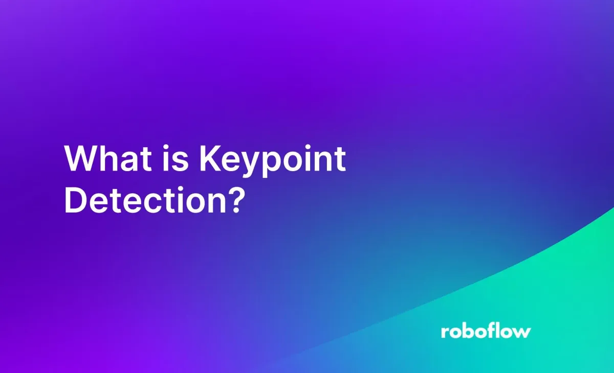 What is Keypoint Detection?