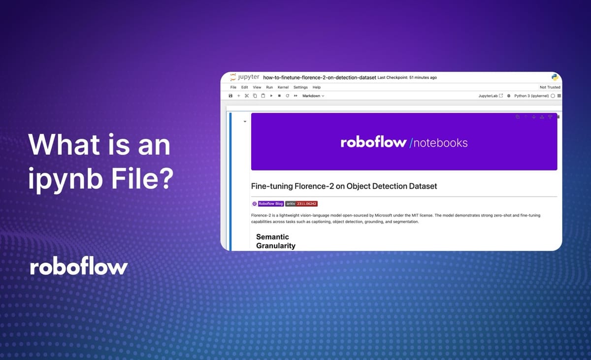 What is an ipynb File?