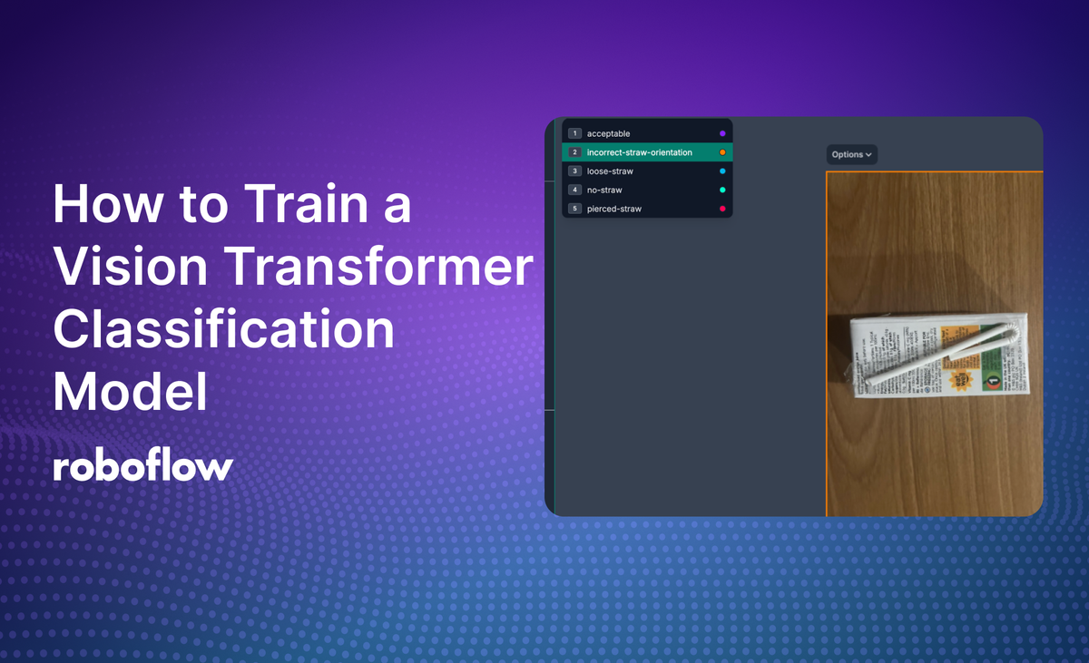 How to Train and Deploy a Vision Transformer (ViT) Classification Model