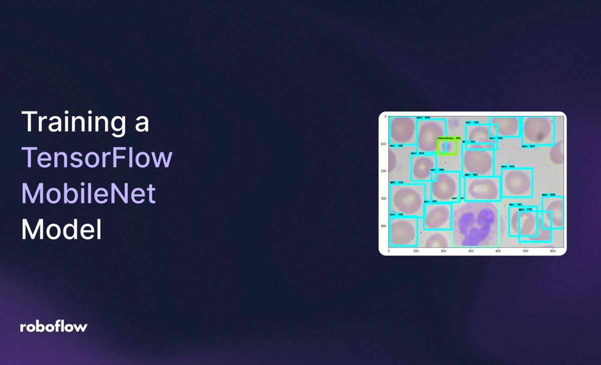 Training a TensorFlow MobileNet Object Detection Model with a Custom Dataset