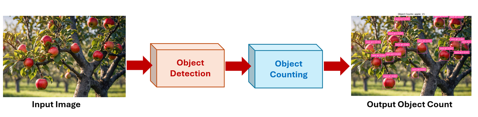 Object Counting using Roboflow RF-DETR