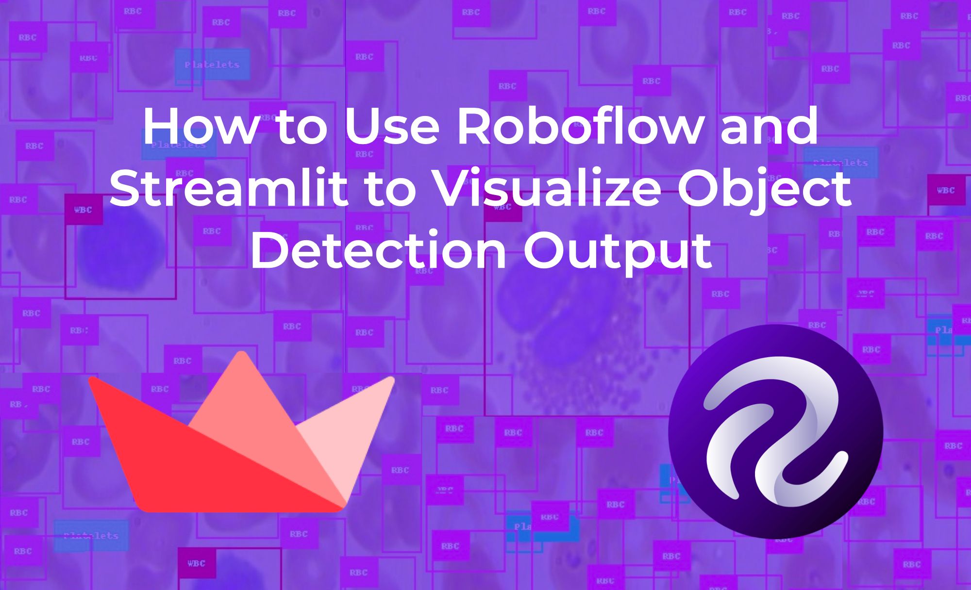 How to Use Roboflow and Streamlit to Visualize Object Detection Output