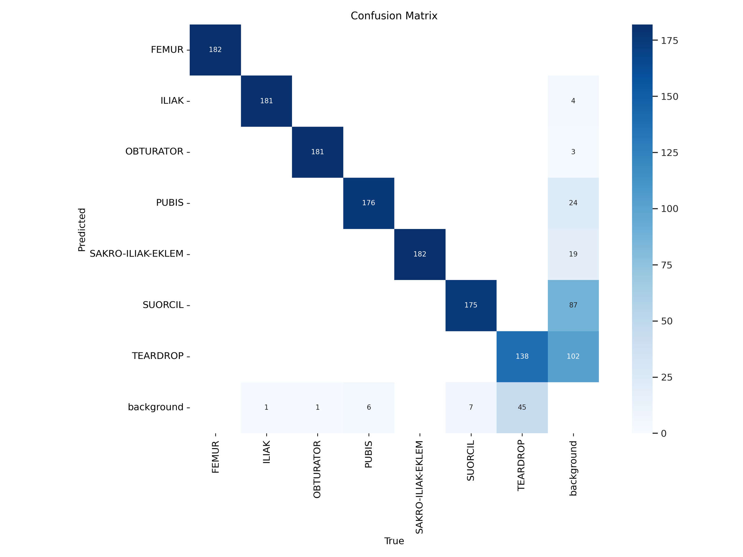 How to train yolov11 instance segmentation on a custom dataset
