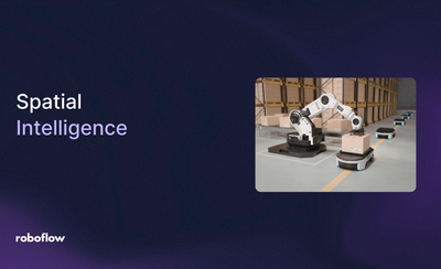 Spatial Intelligence in AI