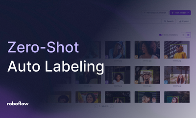 Zero-Shot Auto Labeling with VLMs like Florence-2 using Roboflow