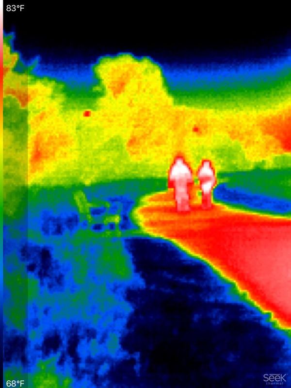 Introducing a Thermal Infrared Dataset for Object Detection