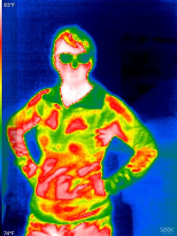 Introducing a Thermal Infrared Dataset for Object Detection