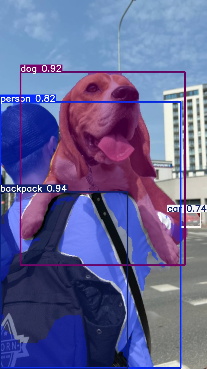 How to train yolov11 instance segmentation on a custom dataset