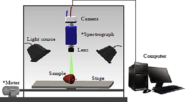 Autonomous Sorting with Computer Vision: Smarter Systems